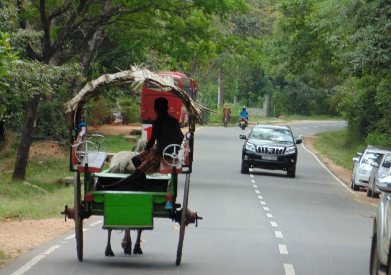 Castle Rock Sigiriya Hotel Kibissa Екстериор снимка