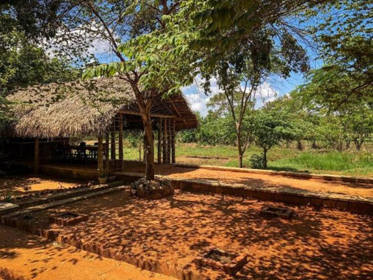 Castle Rock Sigiriya Hotel Kibissa Екстериор снимка